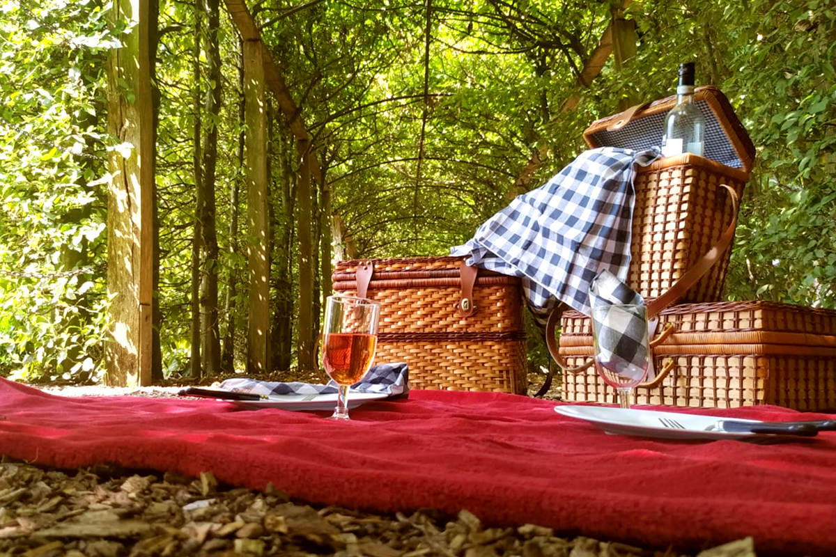 Image of Picknick in de historische tuin van Kasteel Sypesteyn - Volwassenen